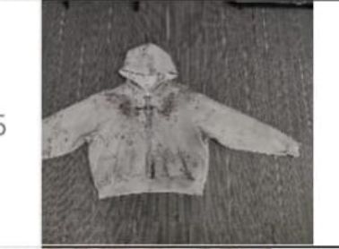 Ethel Zip Hoodie - BRUISED LA